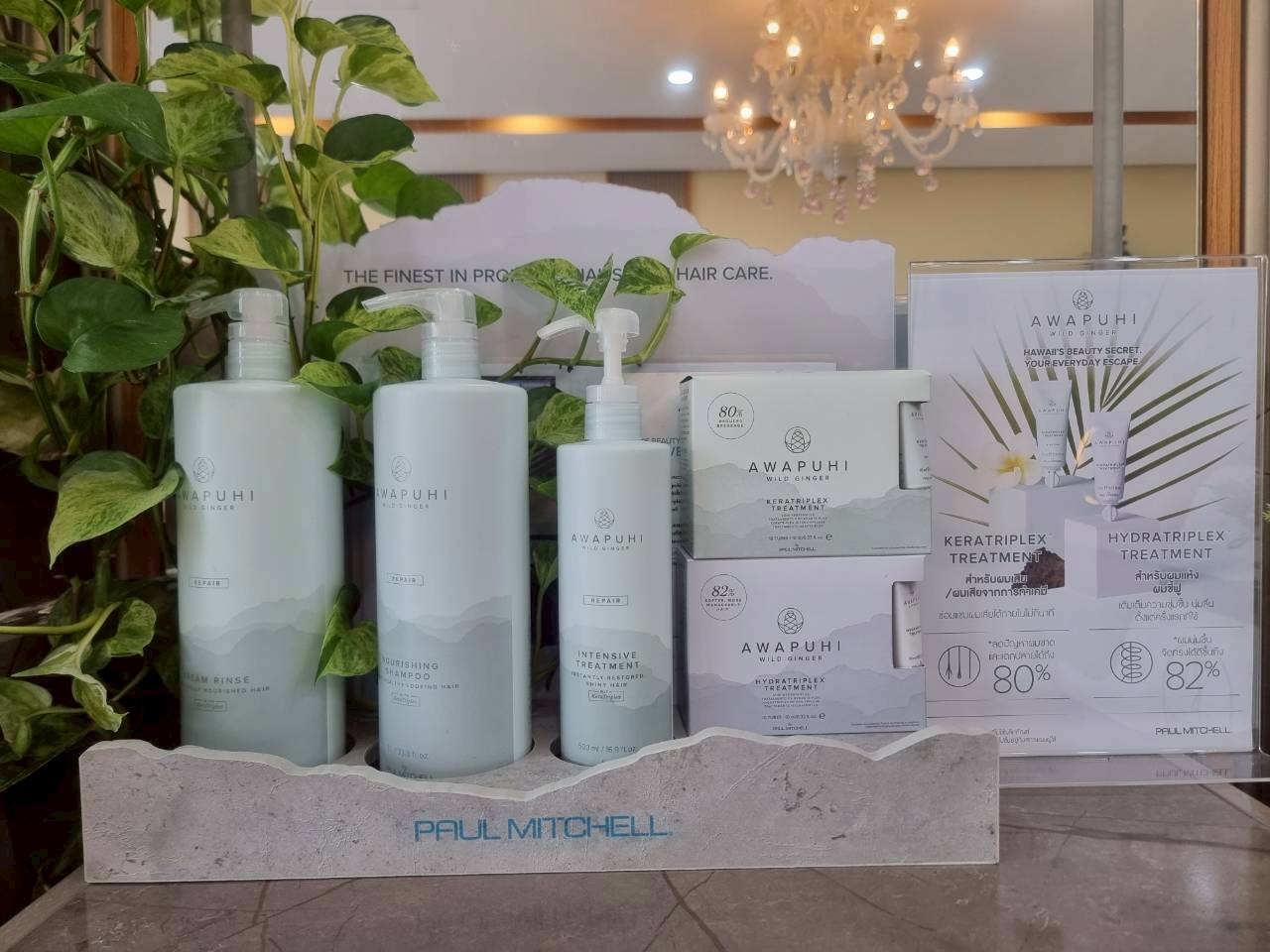 Paul Mitchell products